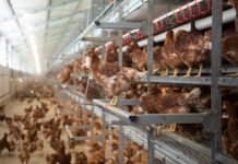 A Todi il progetto di VDL Jansen con soluzioni innovative