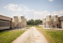 Mangime nei silos in vetroresina: perché conviene?