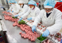 Previsioni per il quarto trimestre 2023: il mercato avicolo inizia a recuperare