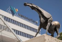 XXII congresso WVPA a Verona