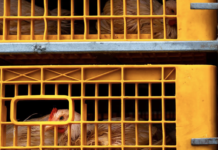 La corretta gestione dell’appendimento per mantenere rese e qualità