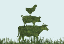 Carni Sostenibili presenta al Parlamento Europeo un volume su carni e salumi e le nuove frontiere della sostenibilità