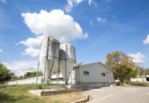 Il Decreto 30 maggio 2023: modalità applicative delle misure di biosicurezza negli allevamenti avicoli