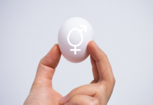 Uno studio completo conclude che la percezione del dolore degli embrioni di pollo inizia al 13° giorno di incubazione