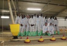 Operatori e buyer dall’Africa in visita a aziende avicole in occasione del Poultry Forum che si è svolto a Rimini