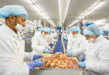 Tendenze e prospettive dell’agroalimentare dell’UE