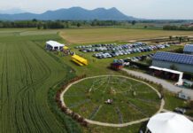 Cascina Felizia, un allevamento di eccellenza per un futuro sostenibile