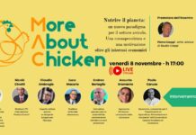 Webinar: verso un nuovo paradigma nel settore avicolo