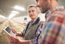 Tecnologie di precisione per l’allevamento: monitoraggio delle condizioni microclimatiche nei capannoni