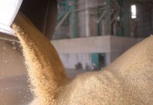 Regardia acquisisce AWP e Santucci: nasce un polo italiano da 70 milioni nella nutrizione animale sostenibile