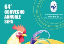 64° Convegno SIPA: esperti a confronto su salute, sostenibilità e lotta all’AMR in avicoltura