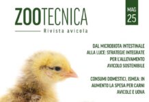 È online il nuovo numero di Zootecnica – Rivista avicola!