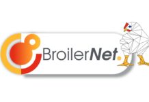 BroilerNet: l’innovazione europea per un settore avicolo più sostenibile e resiliente