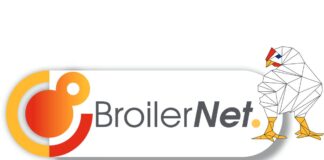 BroilerNet: l’innovazione europea per un settore avicolo più sostenibile e resiliente
