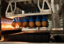 Oltre la sfida, verso l’innovazione: la determinazione del sesso embrionale con la tecnologia Cheggy