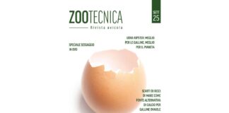 È online la versione digitale di Zootecnica | Rivista avicola – Settembre 2025