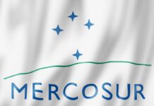 AVEC: la clausola di salvaguardia del Mercosur non protegge il settore avicolo europeo