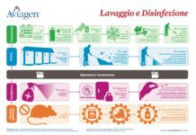 Lavaggio e disinfezione dei capannoni avicoli: le linee guida per una biosicurezza efficace