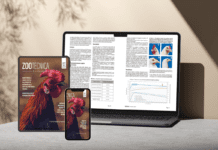 È online la versione digitale di Zootecnica | Rivista avicola – Ottobre 2025