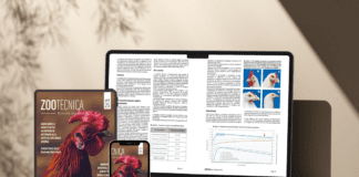 È online la versione digitale di Zootecnica | Rivista avicola – Ottobre 2025