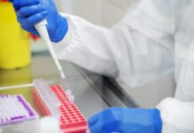 Validazione di un saggio di RT-PCR specifico per il genotipo GVIII del virus della bronchite infettiva e prima identificazione di ceppi IB80-like (lineage GVIII-2) in Italia