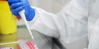 Validazione di un saggio di RT-PCR specifico per il genotipo GVIII del virus della bronchite infettiva e prima identificazione di ceppi IB80-like (lineage GVIII-2) in Italia