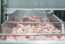 Salvaguardia della resa produttiva nell’intero processo primario