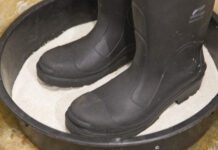 Influenza aviaria: approvato piano nazionale con vaccinazioni dal 2026