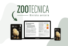 È online il nuovo numero digitale di Zootecnica | Rivista avicola