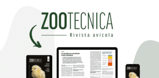 È online il nuovo numero digitale di Zootecnica | Rivista avicola