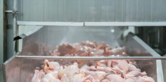 Salvaguardia della resa produttiva nell’intero processo primario