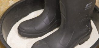 Influenza aviaria: approvato piano nazionale con vaccinazioni dal 2026