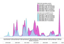 EFSA: ondata senza precedenti di influenza aviaria HPAI negli uccelli selvatici in Europa