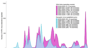 EFSA: ondata senza precedenti di influenza aviaria HPAI negli uccelli selvatici in Europa