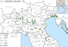 Influenza aviaria in Italia: situazione dei focolai aggiornata al 29 gennaio 2026