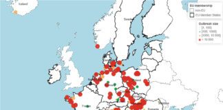 Presentato da EFSA il rapporto annuale sull’influenza aviaria