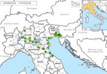 Influenza aviaria in Italia: situazione stabile nel settore avicolo, segnalato un caso in selvaggina da ripopolamento