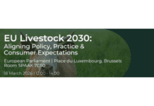 EU Livestock 2030: evento finale mEATquality a Bruxelles