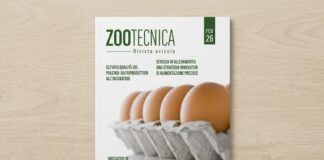È online la nuova versione digitale di Zootecnica – Rivista avicola