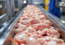 Domanda globale sostenuta per il pollo, ma crescono i rischi geopolitici e la volatilità