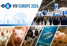Anteprima del Salone VIV Europe 2026: la 25esima edizione come showroom mondiale per l’innovazione nel settore delle proteine animali