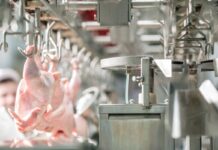 Proteggere le ali dalle lesioni