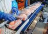 Il ruolo del G20 nella produzione e nel commercio mondiale di carne – Parte 1: la produzione di carne