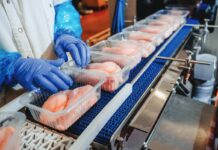 Il ruolo del G20 nella produzione e nel commercio mondiale di carne – Parte 1: la produzione di carne