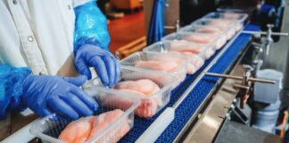 Il ruolo del G20 nella produzione e nel commercio mondiale di carne – Parte 1: la produzione di carne