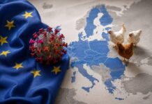 L’attività dell’influenza aviaria diminuisce in Europa con la fine della primavera
