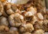 L’allicina dell’aglio come promettente alternativa agli antibiotici nei broiler