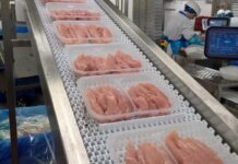Unaitalia: carni bianche, nel 2025 consumi da record a 22,47 kg. La filiera avicola vale 9,7 miliardi
