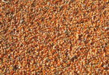 Mangimi UE: il comparto avicolo primo segmento della produzione industriale
