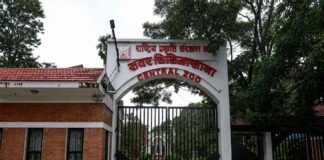 L’influenza aviaria si diffonde in Nepal: abbattuti oltre 600.000 capi di pollame